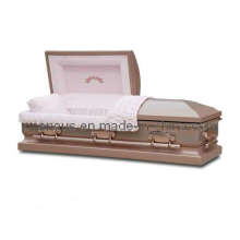 US Style Stainless Steel Casket (15H5030)